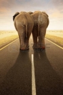 vignette_bf_imageAffiche_Les_elephants.jpg